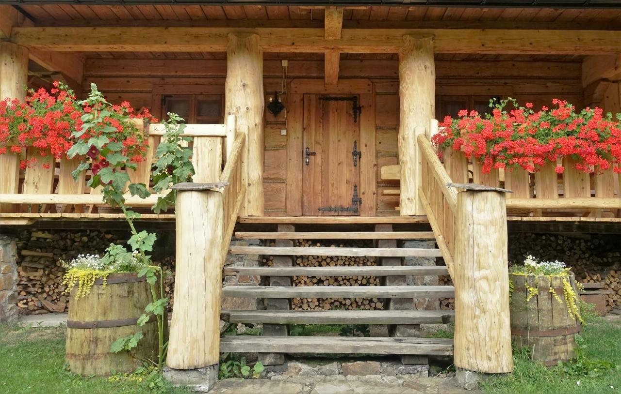 Willa Stasia Ustrzyki Dolne Exterior foto